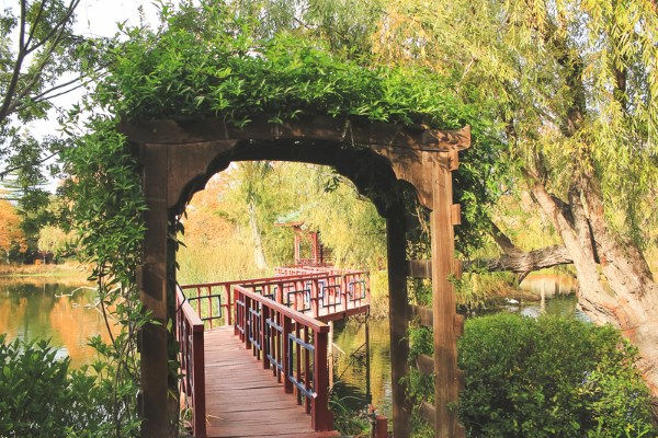 chateau montelena