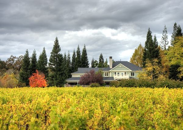 duckhorn winery