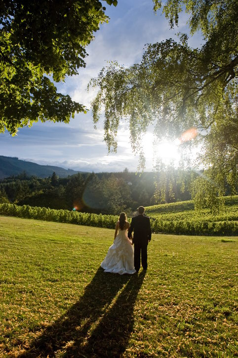 napa valley weddings