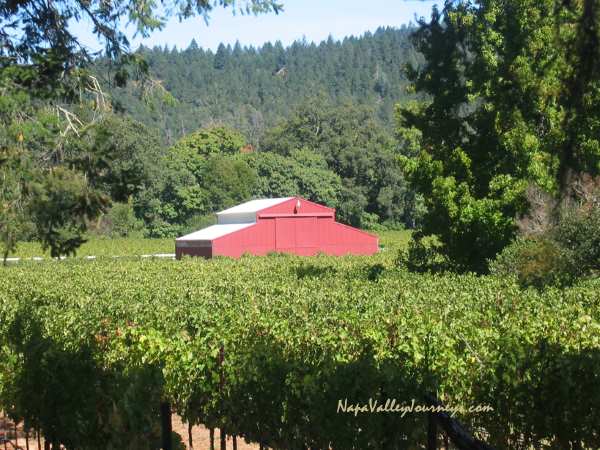 st. helena vineyard, napa valley