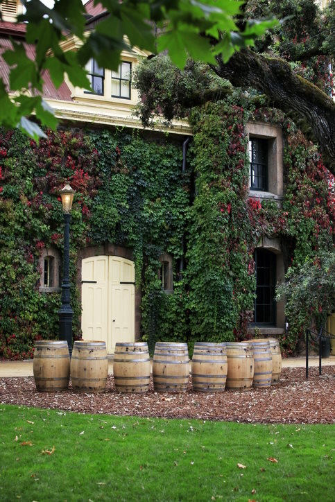 Inglenook Winery