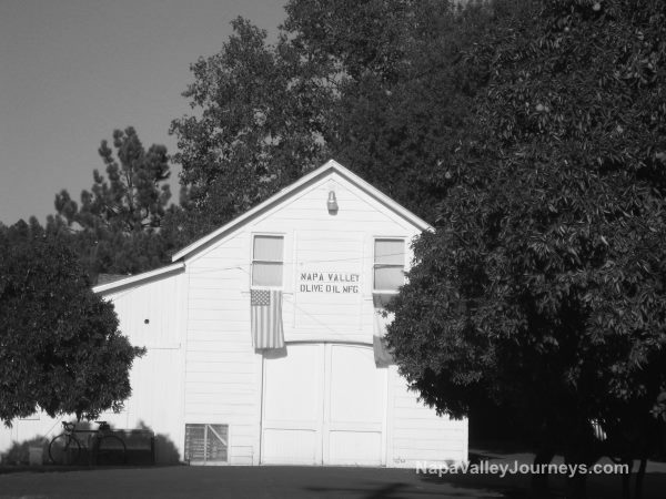 napa valley olive oil